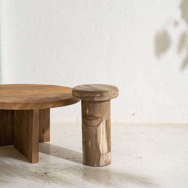 Sia Petrified Wood Side Table