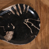 Neros Petrified Wood Teardrop Platter