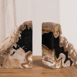 Elowen Petrified Wood Raw Edge Bookends