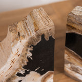 Elowen Petrified Wood Raw Edge Bookends