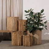 Arbor Textural Baskets