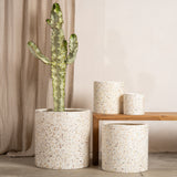 Arjen Lightweight Cylindrical Pot - Shell Finish