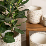 Inken Lightweight Curved Pot - Shell Finish