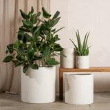 Arjen Lightweight Cylindrical Pot - Terrazzo Finish