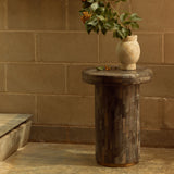 Ona Petrified Wood Side Table
