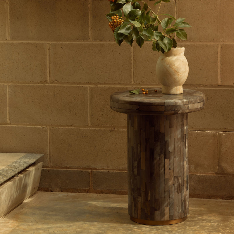 Ona Petrified Wood Side Table