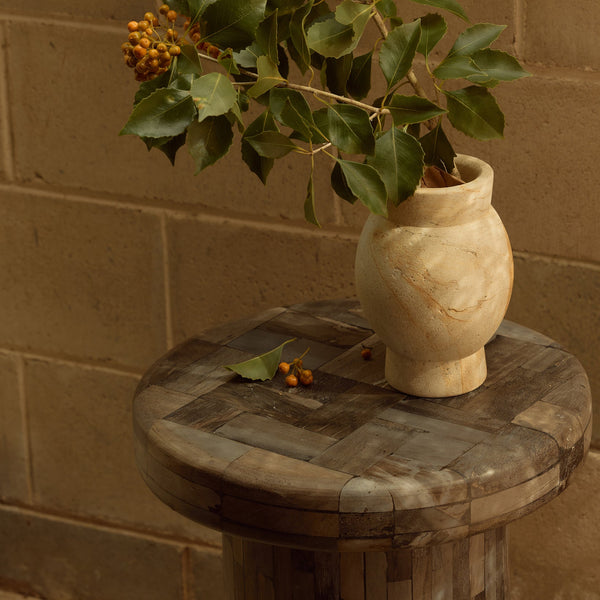 Ona Petrified Wood Side Table