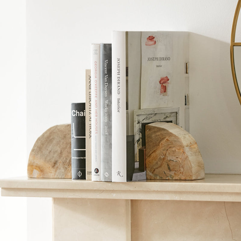 Acadia Petrified Wood Bookends