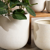 Inken Lightweight Curved Pot - Terrazzo Finish