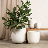 Inken Lightweight Curved Pot - Terrazzo Finish