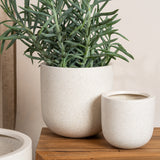 Inken Lightweight Curved Pot - Terrazzo Finish