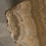 Mekhi Solid Onyx Raw Plinth