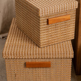 Torin Handwoven Surface Storage Boxes