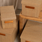 Torin Handwoven Surface Storage Boxes