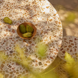 Illia Terrazzo Dining Table