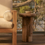 Sia Petrified Wood Side Table