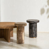 Sia Petrified Wood Side Table