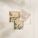 Plantable Gift Tag Pack of 6 (Cactus, Arch)