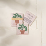 Plantable Gift Tag Pack of 6 (Lefse)