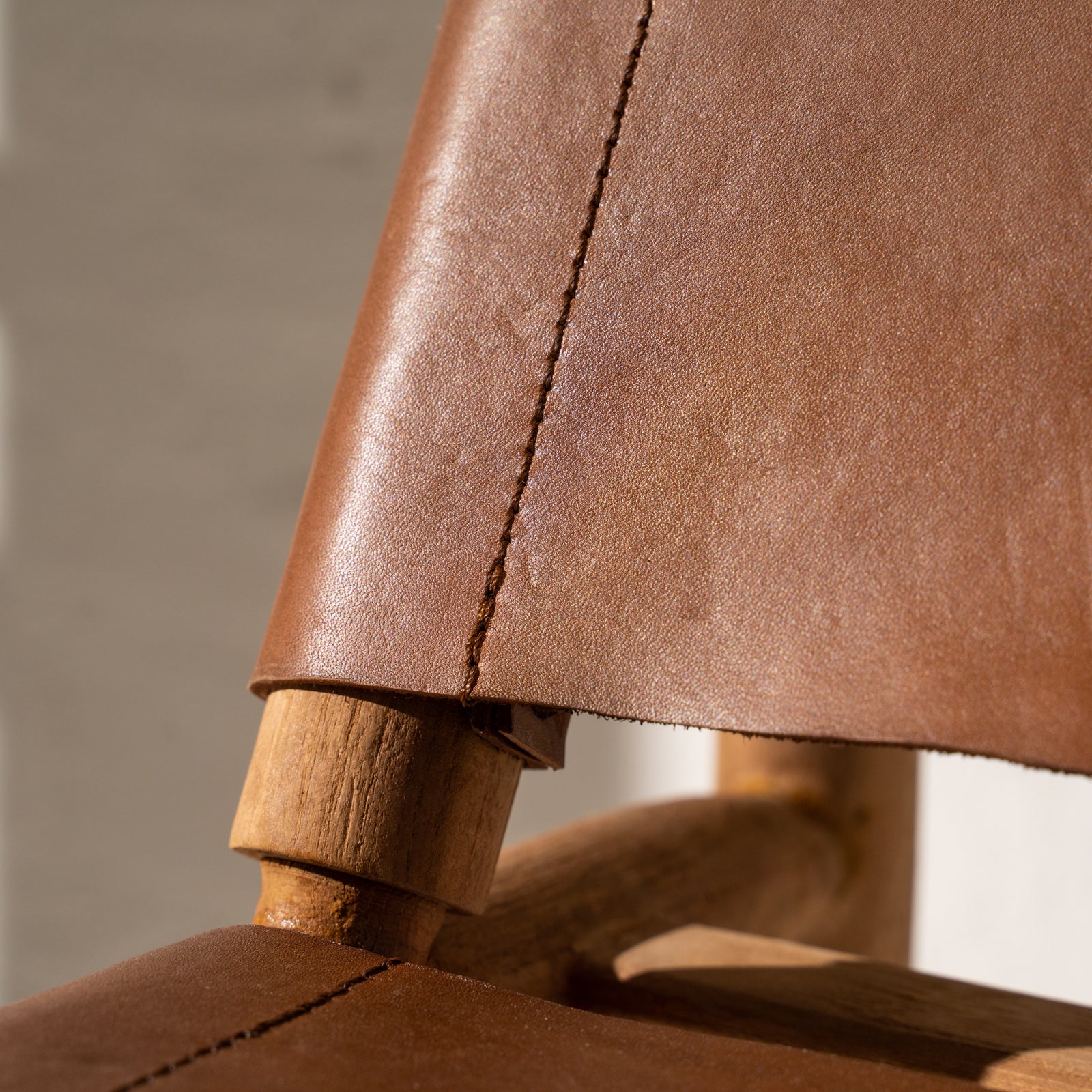 Zadie Leather and Teak Chair - Tan – Inartisan.